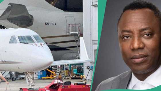 "It was staged": Sowore reacts to release of seized presidential jets by Chinese firm