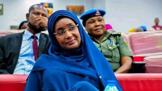 Confusion hits Senate as suspicious N206Bn arms purchase is found in humanitarian affairs ministry’s budget