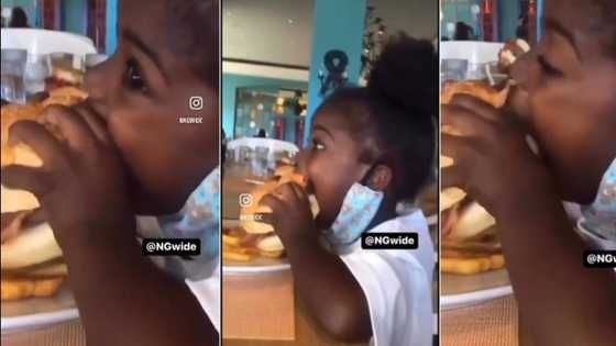 “This Is Pure Wickedness”: Little Girl Struggles to Eat Large Burger in Hilarious Video