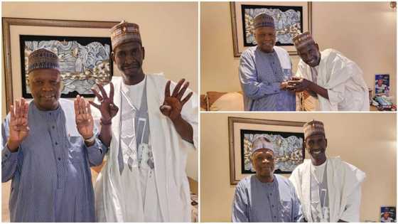 2023 Elections: Setback for Kwankwaso as NNPP State Chairman Dumps Party, Defects to APC