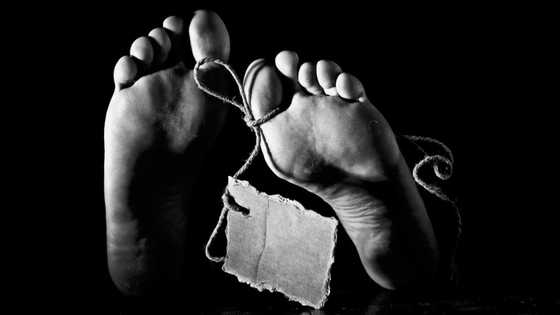 Dumu-dumu: Dattijo ya mutu a dakin karuwa