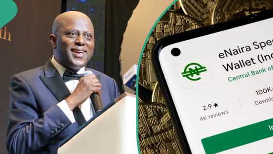 CBN announces over 200% surge in eNaira circulation as banks, fintech plans new digital currency
