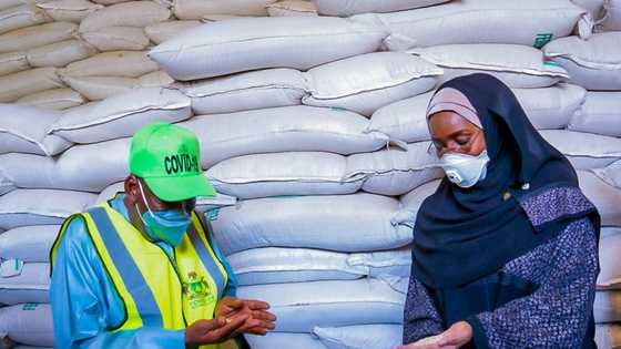 Gwamnatin tarayya ta damka tallafin kayan abinci a tirela fiye da 120 ga gwamnatin Kano (Hotuna)