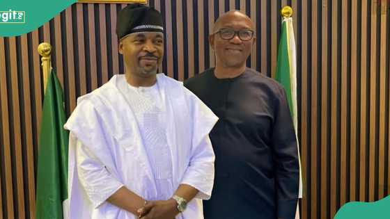 Did MC Oluomo hold meeting with Peter Obi? Fact emerges