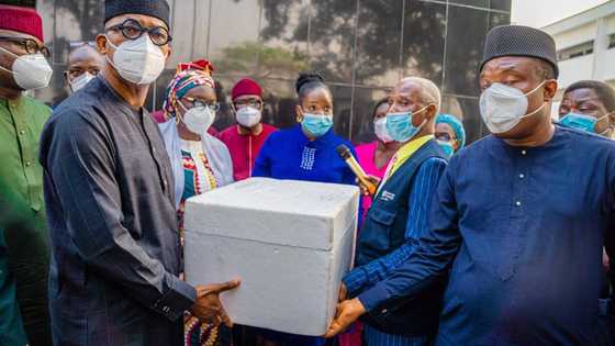 Rigakafin corona ta isa jihar Ogun, Gwamna Dapo Abiodun ya tabbatar