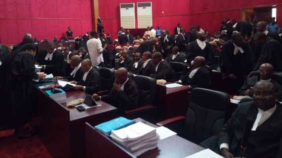 Labour Party, APC: Winner emerges in Amuwo-Odofin Constituency election as tribunal gives verdict