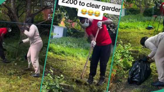 Man charges Nigerian couple in UK N355k to clean their garden, they react, get lawnmower