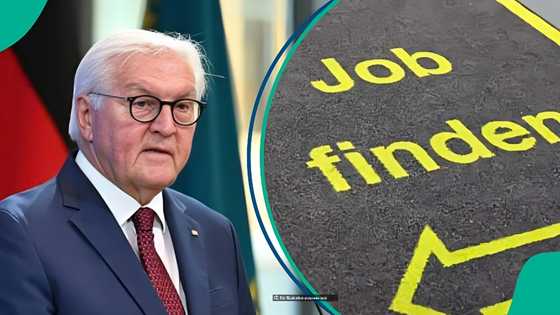 Germany announces 1 category of foreigners permitted to sign job contract before getting valid visa