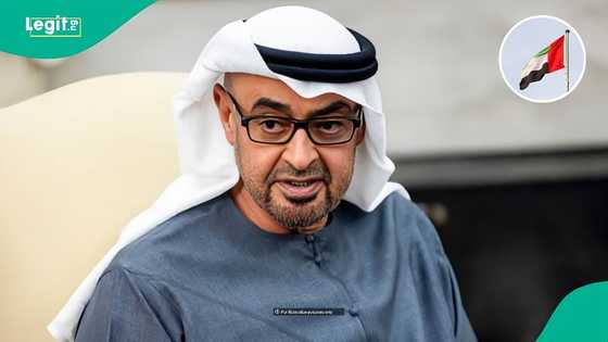 UAE announces amount skilled workers must earn monthly to qualify for green residence