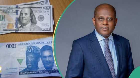 Naira loses N456/$ to hit new low across all markets, defies CBN’s forex injection