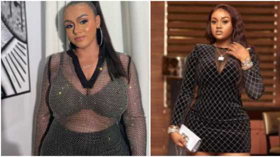 "Carry your endurance group elsewhere": Sina Rambo's ex Heidi slams troll who said she's jealous of Chioma