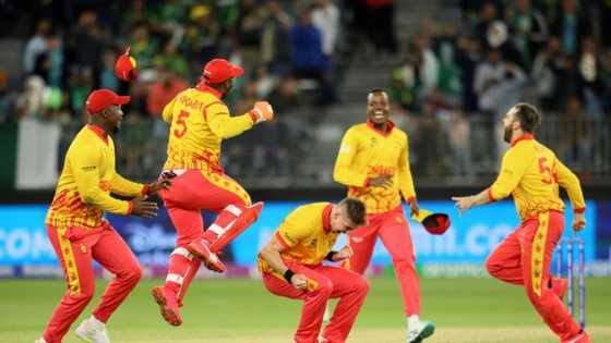 Confident Zimbabwe see 'huge' chance to make T20 World Cup semis