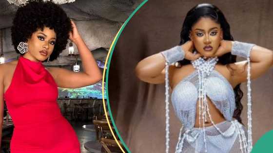 "She is definitely a curse": BBN Phyna says as she taunts Blessing CEO on Isbae U's podcast