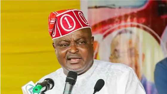 Abin da yasa Legas ta zama matattaran mashaya muggan ƙwayoyi, Kakakin Majalisa Obasa