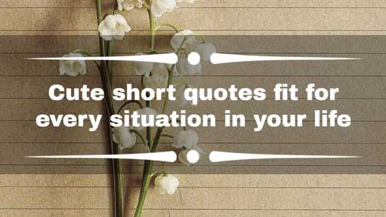 100+ cute short quotes fit for every situation in your life