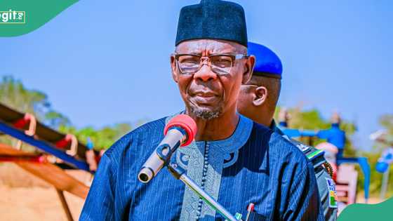 Confusion as thieves cart away harvested rice in Nasarawa, governor Sule reacts