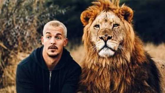 Lions ain't pets: Popular trainer Dean Schneider advises, shares video showing his experience