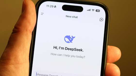 DeepSeek, Chinese AI startup roiling US tech giants