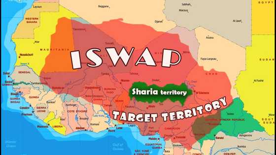 Yanzu-Yanzu: Mun Daina Karban Naira Yanzu, Yan Ta'addan ISWAP Sun Bayyana