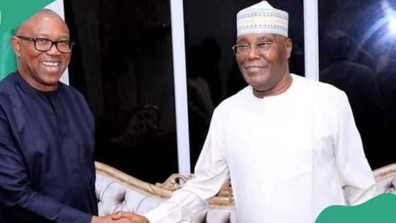 Why I visited Atiku, Saraki, Lamido in Abuja, Peter Obi speaks