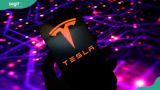 Is Elon Musk's Tesla Pi phone real or just a rumour?