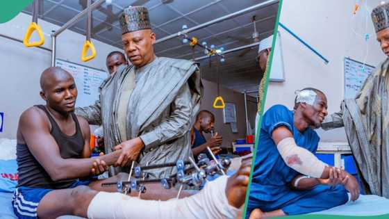 Borno Bombing: “One life lost in cold blood", Shettima grieves