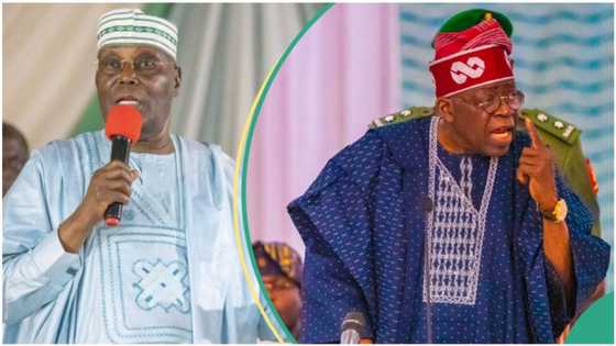 Tinubu holds fake Chicago State University certificate? 4 Things to know