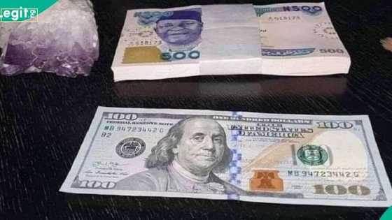 Naira: Nigeria’s FX supply rose 20.5% to $8.94bn in 2025