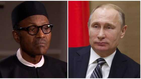 Russia-Ukraine war: Nigerian government announces steps to take in line with UN sanctions