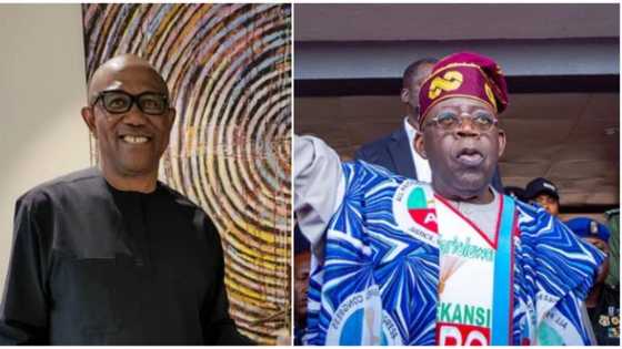 Sha'awar cancanta ne Yasa muke Goyon bayan Tinubu maimakon Peter Obi - Matasan Ibo