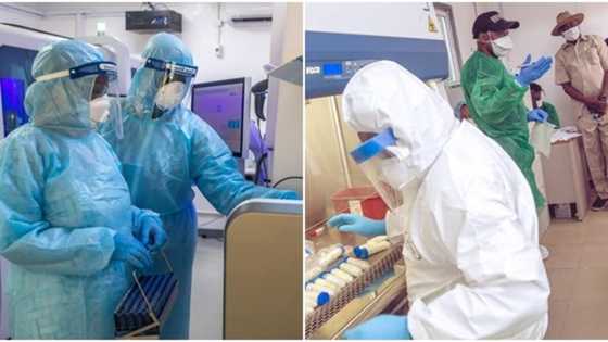 Three dead, 284 hospitalised as strange disease breaks out in Kano