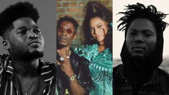 Meet 4 African directors who worked on Beyoncé’s album; see where they come from (photos)