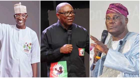 Labour Party chieftain urges Atiku, Obi to withdraw petitions against Tinubu, gives reason