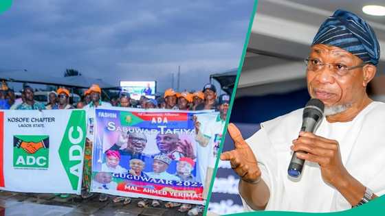 Viral video shows moment ADC supporters storm Lagos airport to Aregbesola
