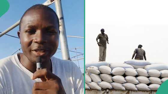 Man buys 40 bags of groundnut for N2.5 million, says he used same amount to buy 800 bags years ago