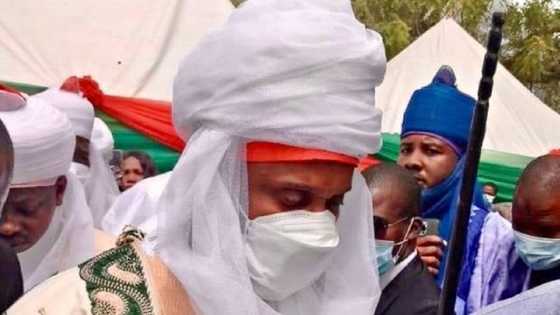 Sarkin Daura: Ba mu bada sarauta don kuɗi, Amaechi ya cancanci naɗin da aka masa