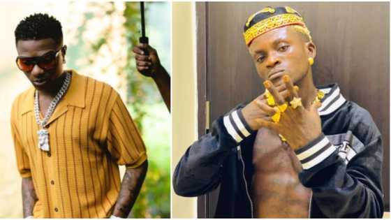 Wizkid vibes to Zazu song at nightclub, makes funny Portable dance moves, Nigerians react