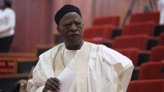 APC convention: Senator Adamu’s chairmanship bid threatened, as southern delegates cast doubts