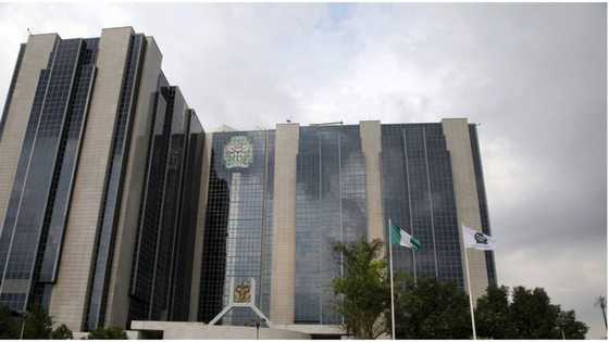 CBN unifies exchange rates in response to IMF loan demand