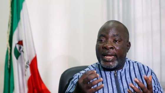 Twitter ban: PDP angrily reacts, identifies those responsible for social media giant's suspension
