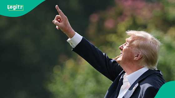 Bidiyo: Tsuntsu ya firgita Trump a White House, ya dauka hari aka kawo masa