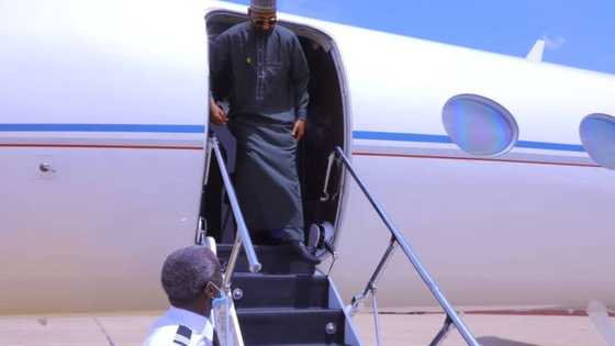 Bayan makonni 3, hotunan mutan Borno suna farin cikin dawowan gwamna Zulum