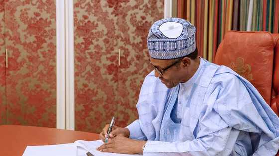 Buhari makes crucial appointment for COVID-19 recovery as FG reintroduces restrictions