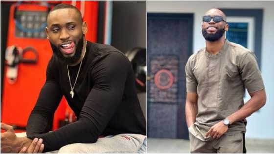 "Rose no see you still": Liquorose's fans lampoon Emmanuel as he shares shadow of pretty lady with nice curves
