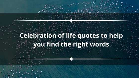 100 celebration of life quotes to help you find the right words