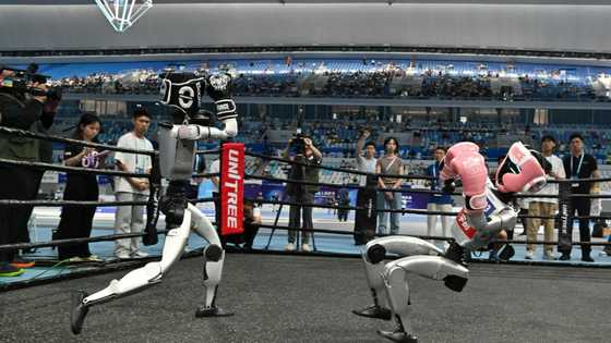 World's first humanoid robot games begin in China