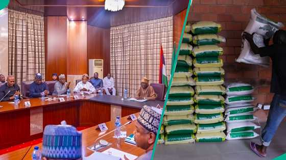 Another billionaire moves to crash rice price after Abdul Samad Rabiu's pledge