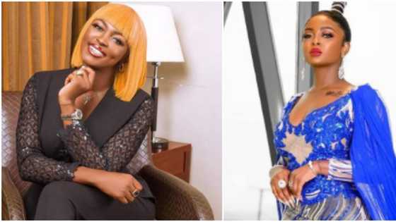 No Instagram means no endorsement: BBNaija's Ka3na shades Shine Ya Eye stars, Nigerians react