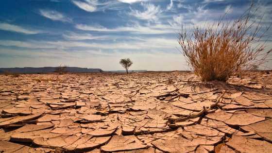 Famine alert: FG releases list of states, communities to experience drought in 2021
