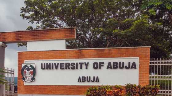 University of Abuja courses, fees, and requirements